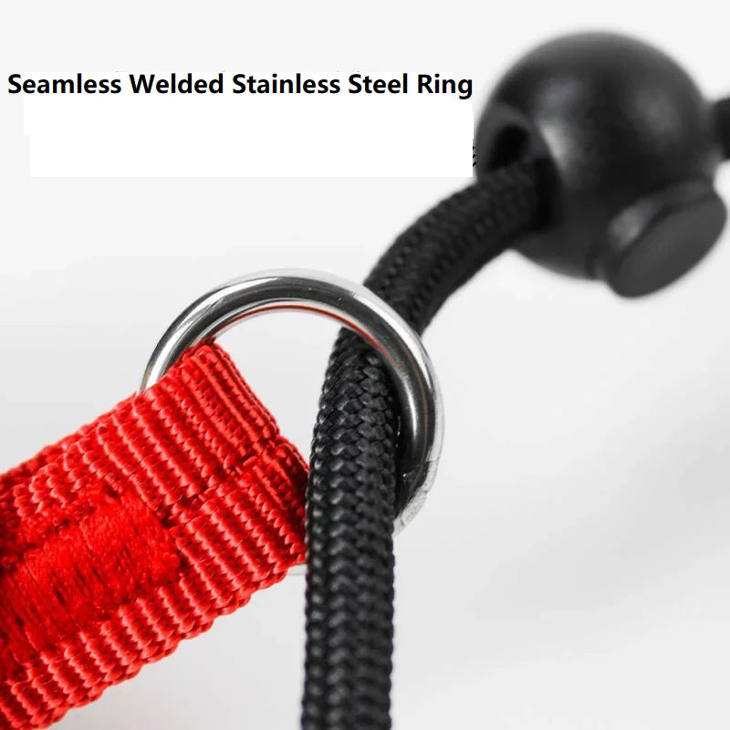 Training Dog Choking Rope Leash 2 in 1 Lead Collar 150cm P-Shaped Chain Slip Lead Control Leash for Small Large Competition Dogs