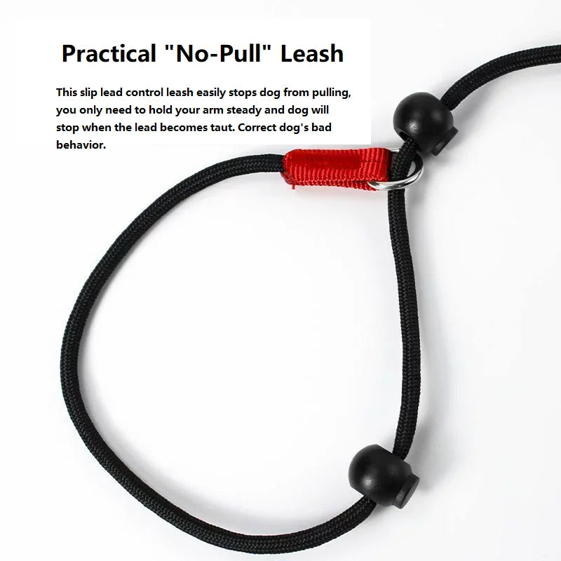 Training Dog Choking Rope Leash 2 in 1 Lead Collar 150cm P-Shaped Chain Slip Lead Control Leash for Small Large Competition Dogs