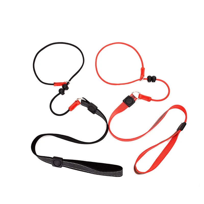 Training Dog Choking Rope Leash 2 in 1 Lead Collar 150cm P-Shaped Chain Slip Lead Control Leash for Small Large Competition Dogs