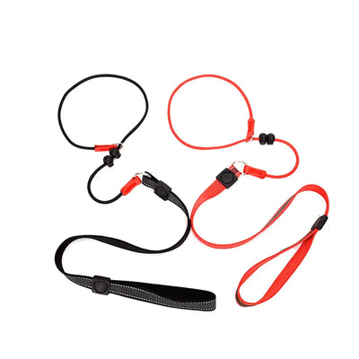 Training Dog Choking Rope Leash 2 in 1 Lead Collar 150cm P-Shaped Chain Slip Lead Control Leash for Small Large Competition Dogs