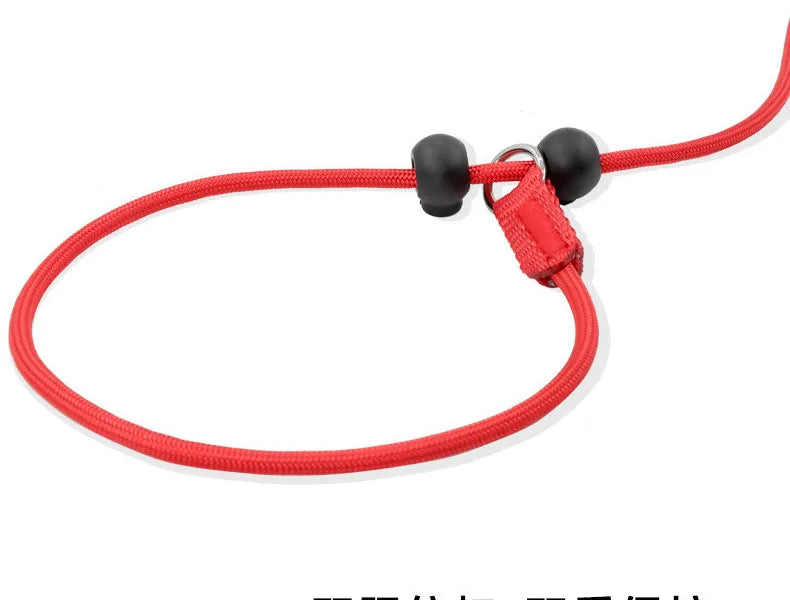 Training Dog Choking Rope Leash 2 in 1 Lead Collar 150cm P-Shaped Chain Slip Lead Control Leash for Small Large Competition Dogs