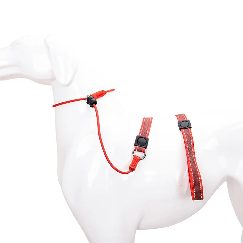 Training Dog Choking Rope Leash 2 in 1 Lead Collar 150cm P-Shaped Chain Slip Lead Control Leash for Small Large Competition Dogs