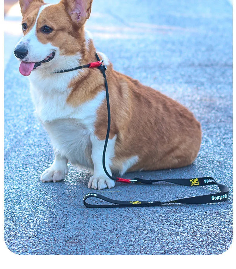 Training Dog Choking Rope Leash 2 in 1 Lead Collar 150cm P-Shaped Chain Slip Lead Control Leash for Small Large Competition Dogs