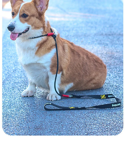 Training Dog Choking Rope Leash 2 in 1 Lead Collar 150cm P-Shaped Chain Slip Lead Control Leash for Small Large Competition Dogs