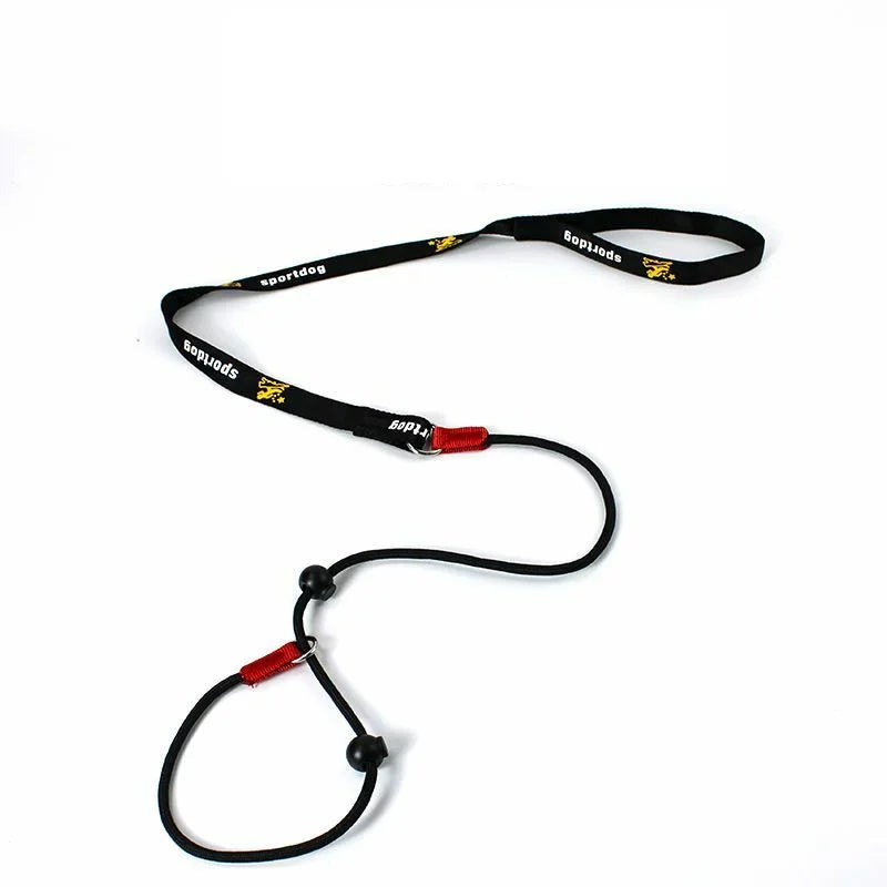 Training Dog Choking Rope Leash 2 in 1 Lead Collar 150cm P-Shaped Chain Slip Lead Control Leash for Small Large Competition Dogs